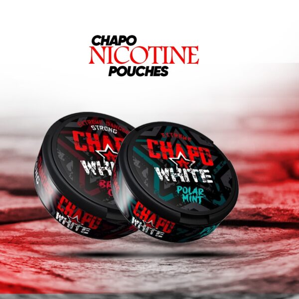 Chapo White Nicotine Pouches: A Must-Try Alternative for Smokers