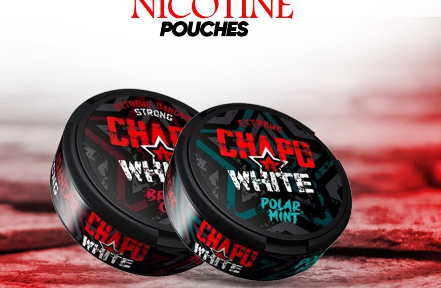 Chapo White Nicotine Pouches: A Must-Try Alternative for Smokers