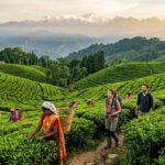 North East India's